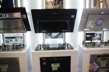 2010顺德家电展 华强集团全系家用电器闪耀登场